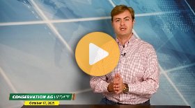 Comparing the Economics of No-Till, Strip-Till & Conventional Systems