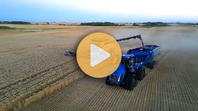 New Holland CR 9.90 Harvesting Wheat