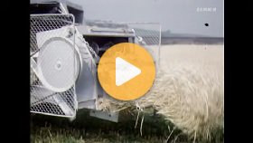 80 years of CLAAS SUPER
