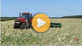 Seeding cereal rye