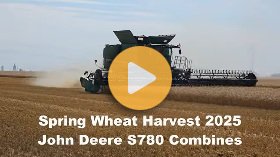 Wheat harvest