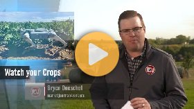 Robocams in ag