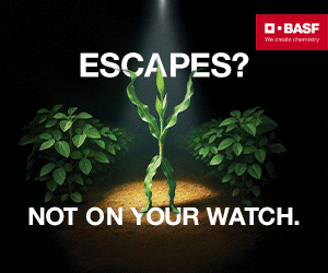 BASF (East) - Soy