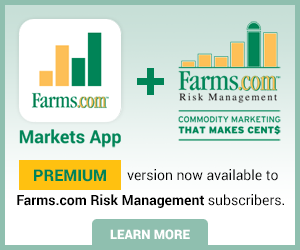 Risk Premium Markets App