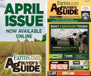 ABG April 2026 flipbook