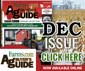 ABG December 2025 flipbook