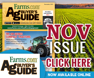 ABG November 2025 flipbook