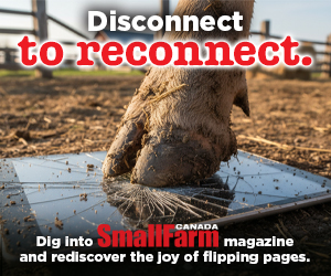 SFC Disconnect to Reconnect - Hoof