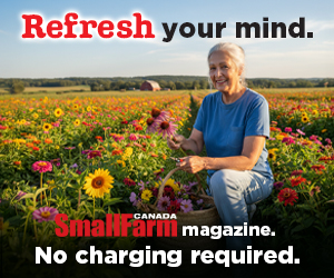 SFC Refresh Your Mind - Flowers
