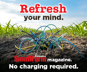 SFC Refresh Your Mind - Soil
