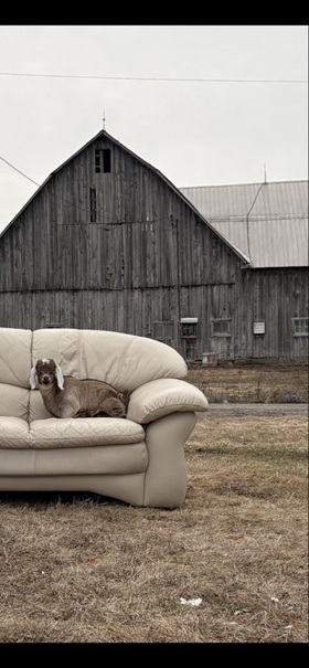 A lazy day at the office…