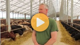 Stephen Dippel on new arrivals