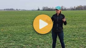 Stack the deck in your favour with stacked cereals