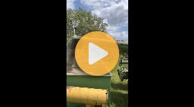 Harvest time for rye