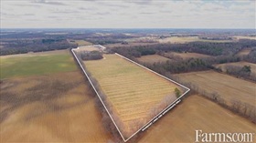 Cash Crop
