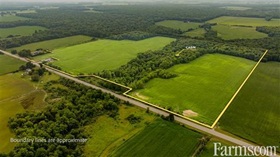 Bare Land