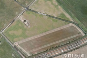 Cash Crop