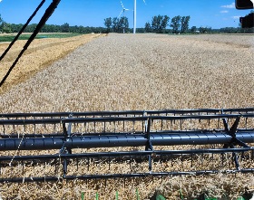 Covercrop Seeded - South Bruce