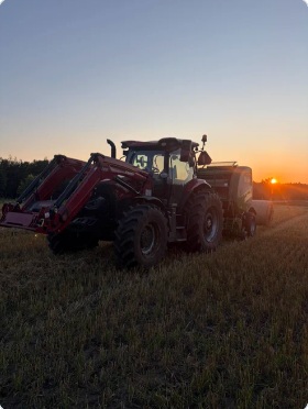 Mid-August evenings…