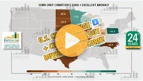 U.S. Crop Ratings Fall + Drama with China
