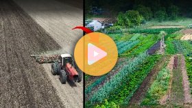 Regenerating and recovering old crop ground