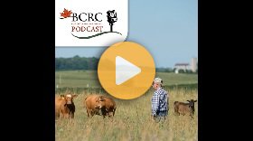 Episode 132: You spoke; we listened: Producers set the research agenda