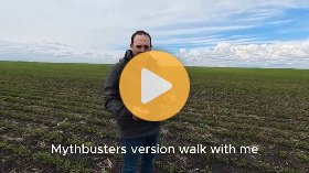 Cool, Wet Weather Causing Yellowing In Soybeans?
