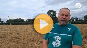 Farmers in south-east battling drought