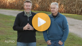 Banding vs. broadcasting fertilizer