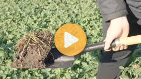 Soil Health Champion: Tom Barrie