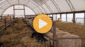 Cold Weather Farming: Tough Week On The Farm!