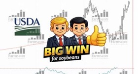 Big win for soybeans