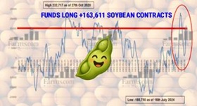 Soybean buying boost