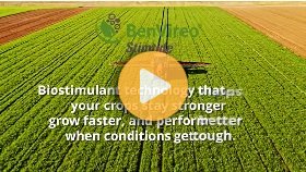 Advanced agronomy – Introducing BenVireo Stimtide