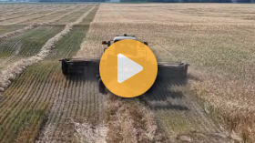 Fall 2025 - Corn Silage/Canola