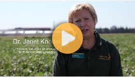 Best management practices for soybean aphids- Dr. Janet Knodel