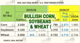 Bullish corn, soybeans and wheat graphic