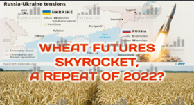 Wheat Rally