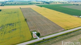 Bare Land