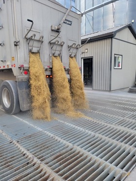 Harvest 2026 begins for Andrew in St. Mary’s… with the Winter Barley coming off.