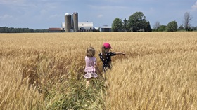 Meanwhile in Morrisburg, Warren’s having a lovely daddy-daughters crop tour on a hot afternoon.