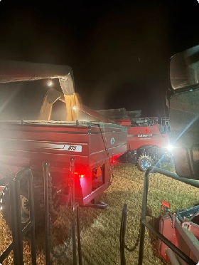 In Huron County, we finally found some dry wheat!