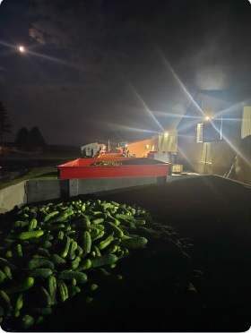 When Monday night turns into Tuesday morning on the farm.