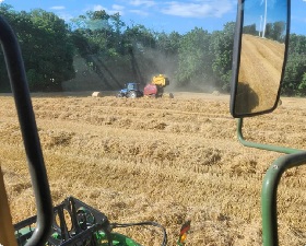 Coming through the rye in Norfolk County