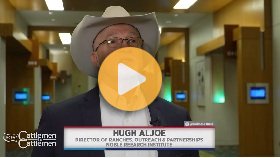 Succession planning key to long-term sustainability for cattle farmers