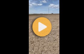 Planting sugar beets