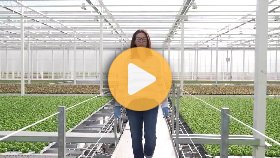 Women in agriculture: Dr. Brenda Ralston