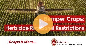 Herbicide rotational restrictions