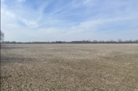Bare Land