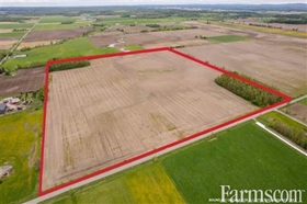 Bare Land 